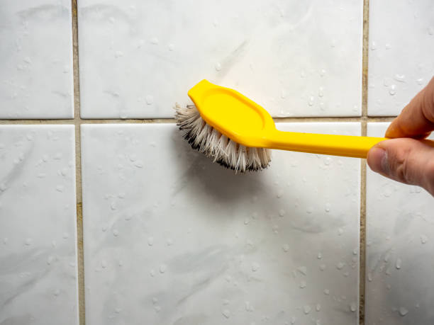 Best Home Mold Removal  in Lathrop, CA