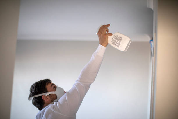 Best Toxic Mold Removal  in Lathrop, CA