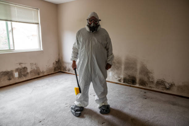 Best Attic Mold Removal  in Lathrop, CA